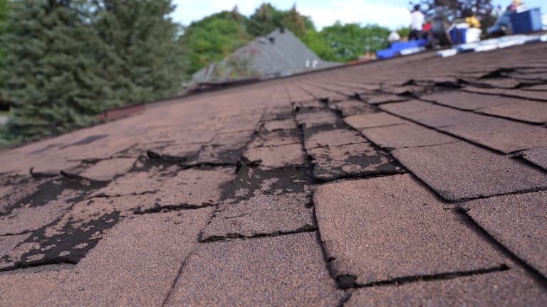 Best Gutter Installation and Repair  in Bad Axe, MI