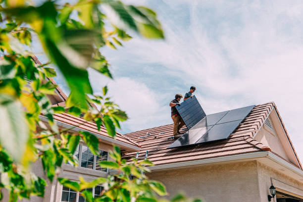 Best Roof Moss and Algae Removal  in Bad Axe, MI