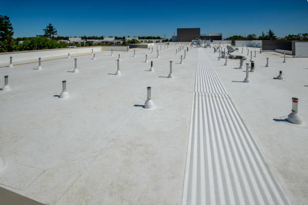 Best Emergency Roof Repair Services  in Bad Axe, MI